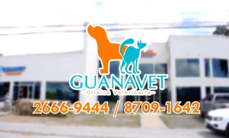 Guanavet Liberia Guanacaste