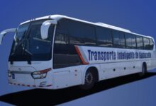 Buses Santa Cruz Tamarindo Flamigo
