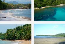 Playas de Guanacaste más visitadas