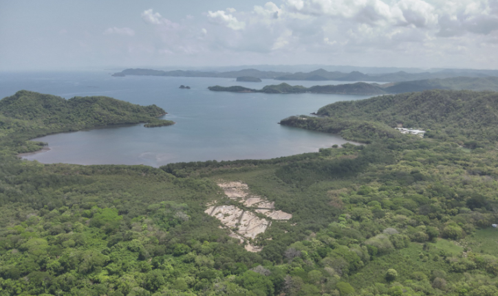 Manglar Bahía Thomas