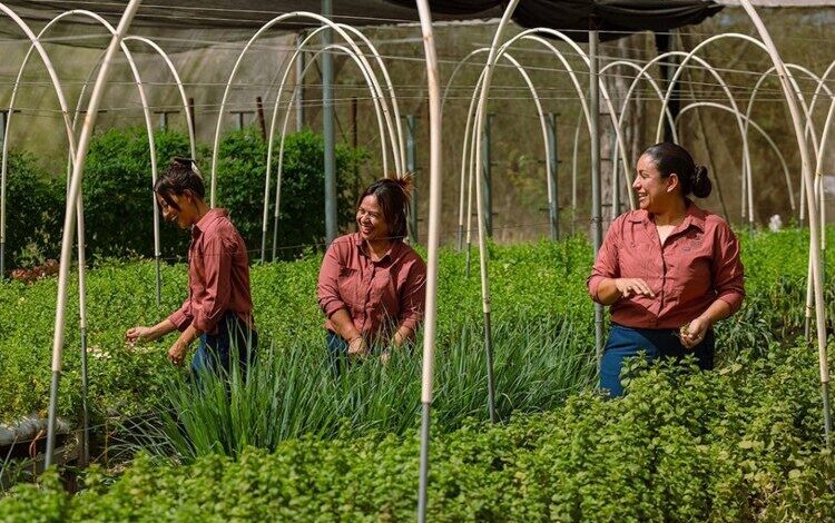 Mujeres de Guanacaste
