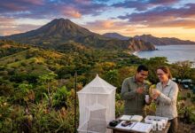 Estudio Científico sobre Insectos en Guanacaste Costa Rica