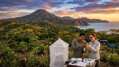 Estudio Científico sobre Insectos en Guanacaste Costa Rica