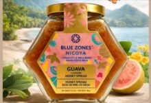 Miel de Abeja de Guanacaste Blue Zones