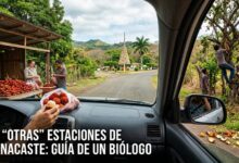 Las Otras Estaciones de Guanacaste